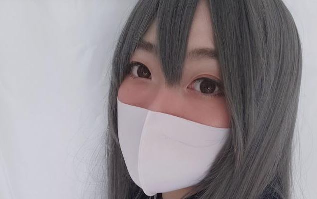 柚子猫(图1)